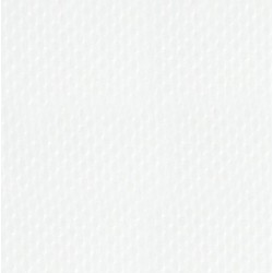 Latitude moon white