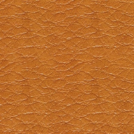 Simili-cuir Boeing 2000 M2
