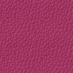 Simili-Cuir Ginkgo M1