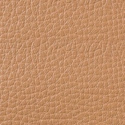 Simili-Cuir Ginkgo M1