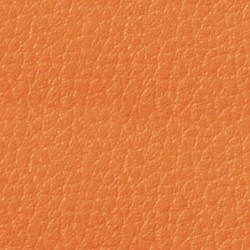 Simili-Cuir Ginkgo M1