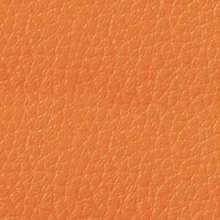 Simili-Cuir Ginkgo M1