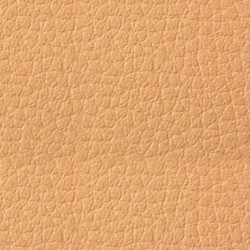 Simili-Cuir Ginkgo M1