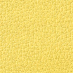 Simili-Cuir Ginkgo M1