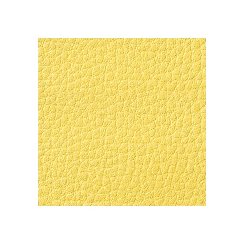 Simili-Cuir Ginkgo M1