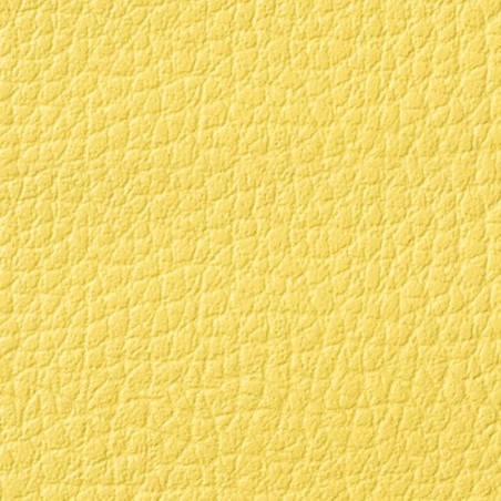Simili-Cuir Ginkgo M1