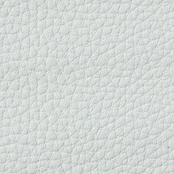 Simili-Cuir Ginkgo M1