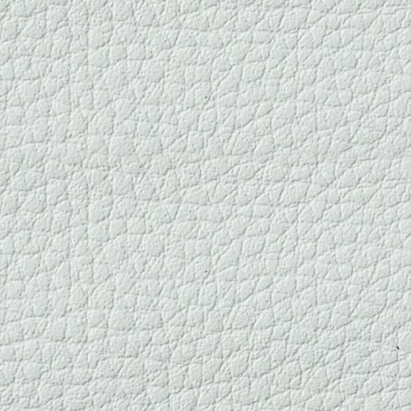 Simili-Cuir Ginkgo M1