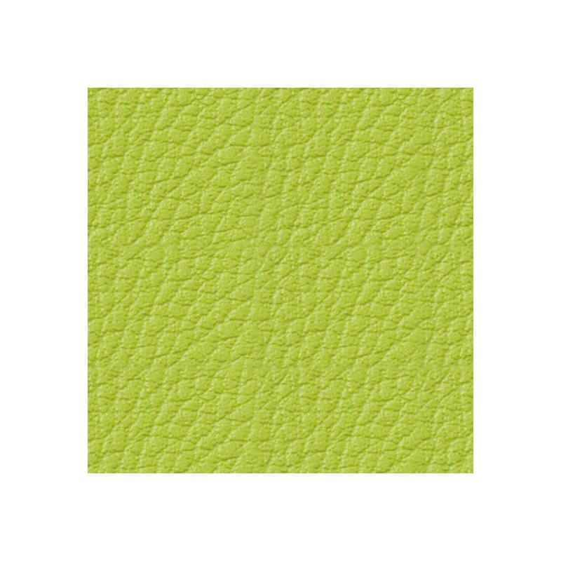Simili-Cuir Ginkgo M1