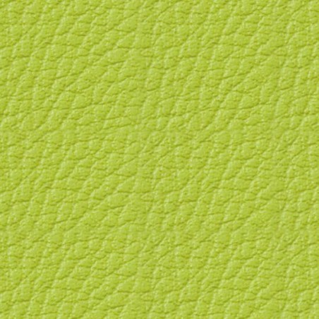 Simili-Cuir Ginkgo M1