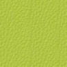 Simili-Cuir Ginkgo M1