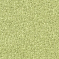 Simili-Cuir Ginkgo M1