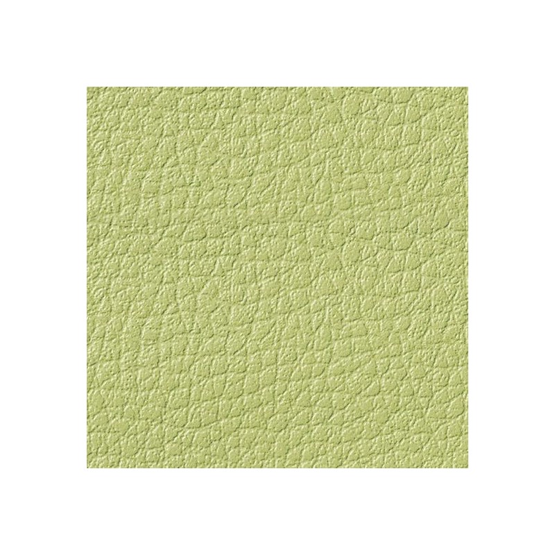 Simili-Cuir Ginkgo M1