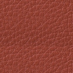Simili-Cuir Ginkgo M1