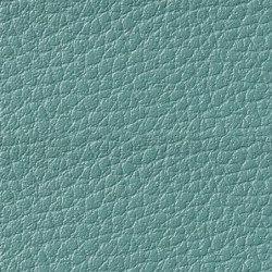 Simili-Cuir Ginkgo M1