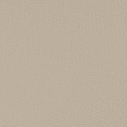 Simili-cuir Nautilus