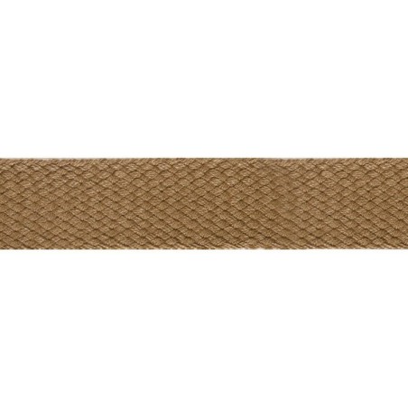 Tresse border Dralon taupe Rouleau  RL150