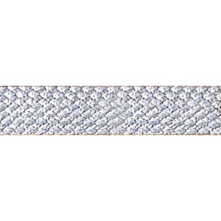 Tresse border Dralon gris  RL150