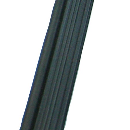 Passepoil plastic noir  RL100